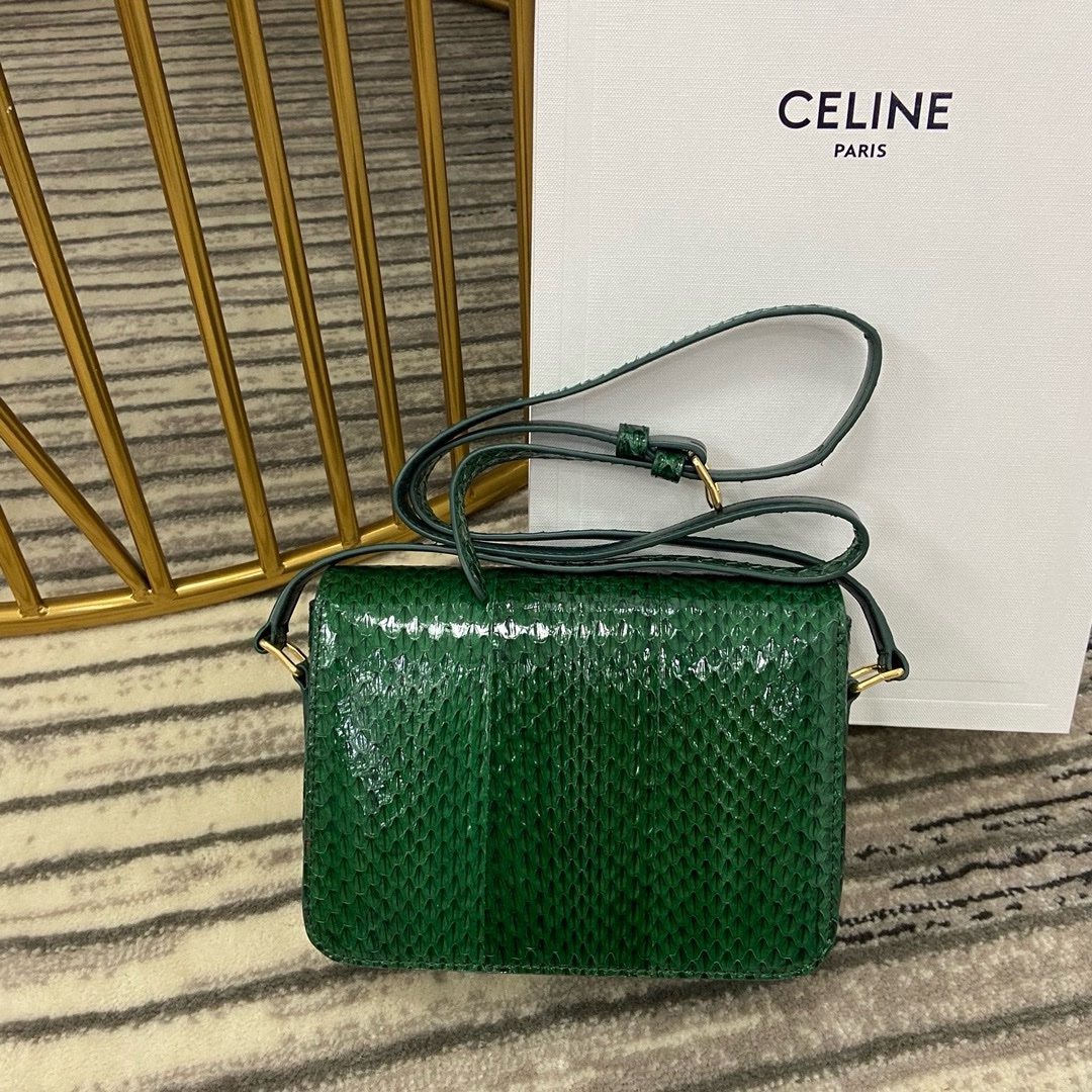 Celine Nano - Image 2