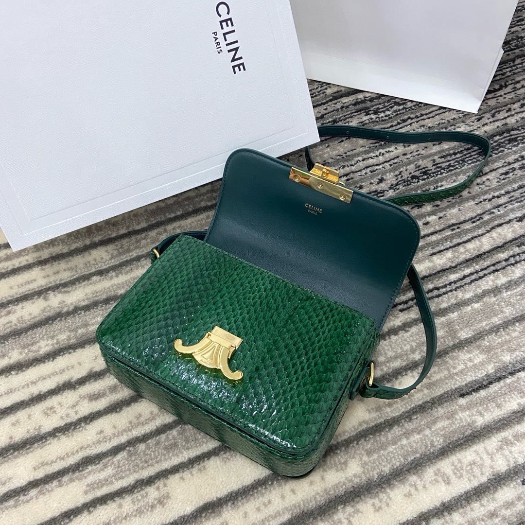 Celine Nano - Image 8