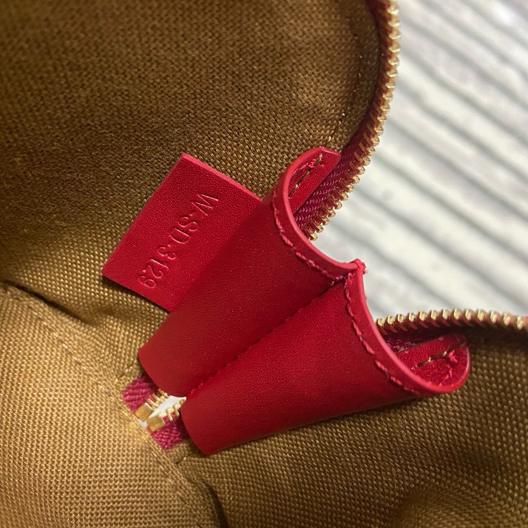 Celine Triomphe - Image 9