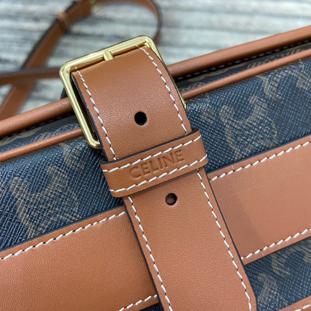 Celine Triomphe Bag - Image 6