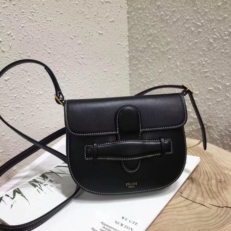Celine Smooth Calfskin Mini Symmetrical Bag