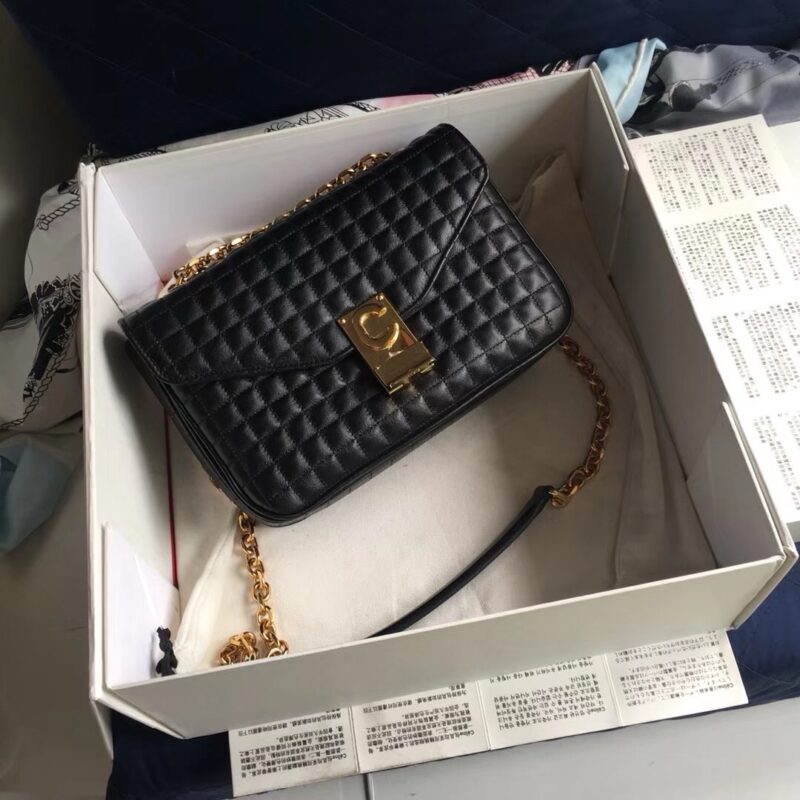 Celine Cross Body Bag