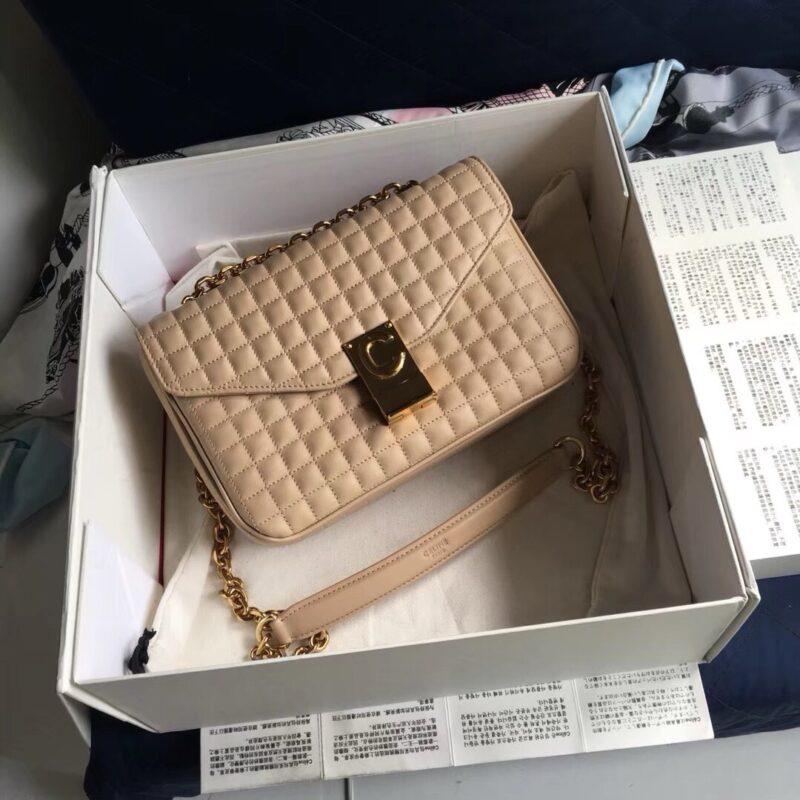 Celine Cross Body Bag