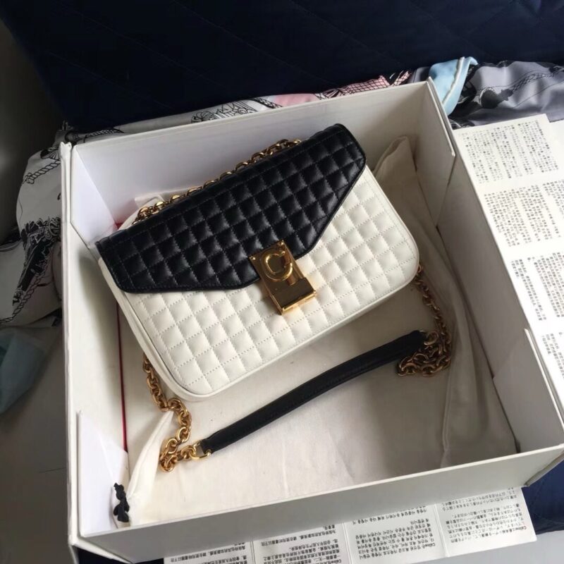 Celine Cross Body Bag