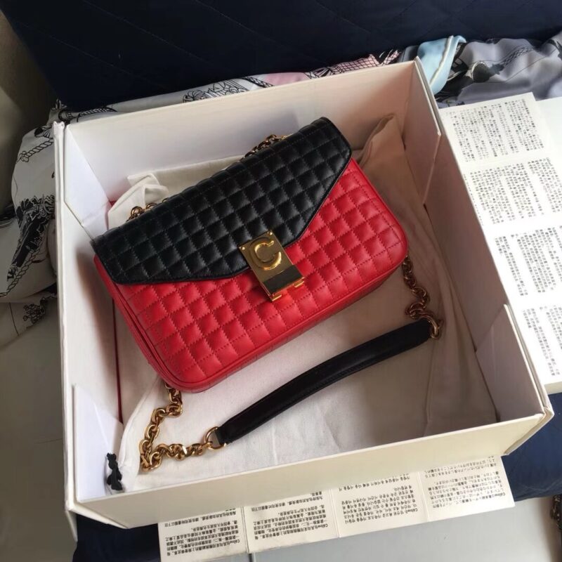 Celine Cross Body Bag