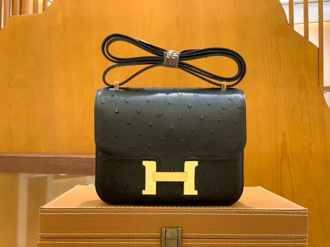 Constance 18 Ostrich