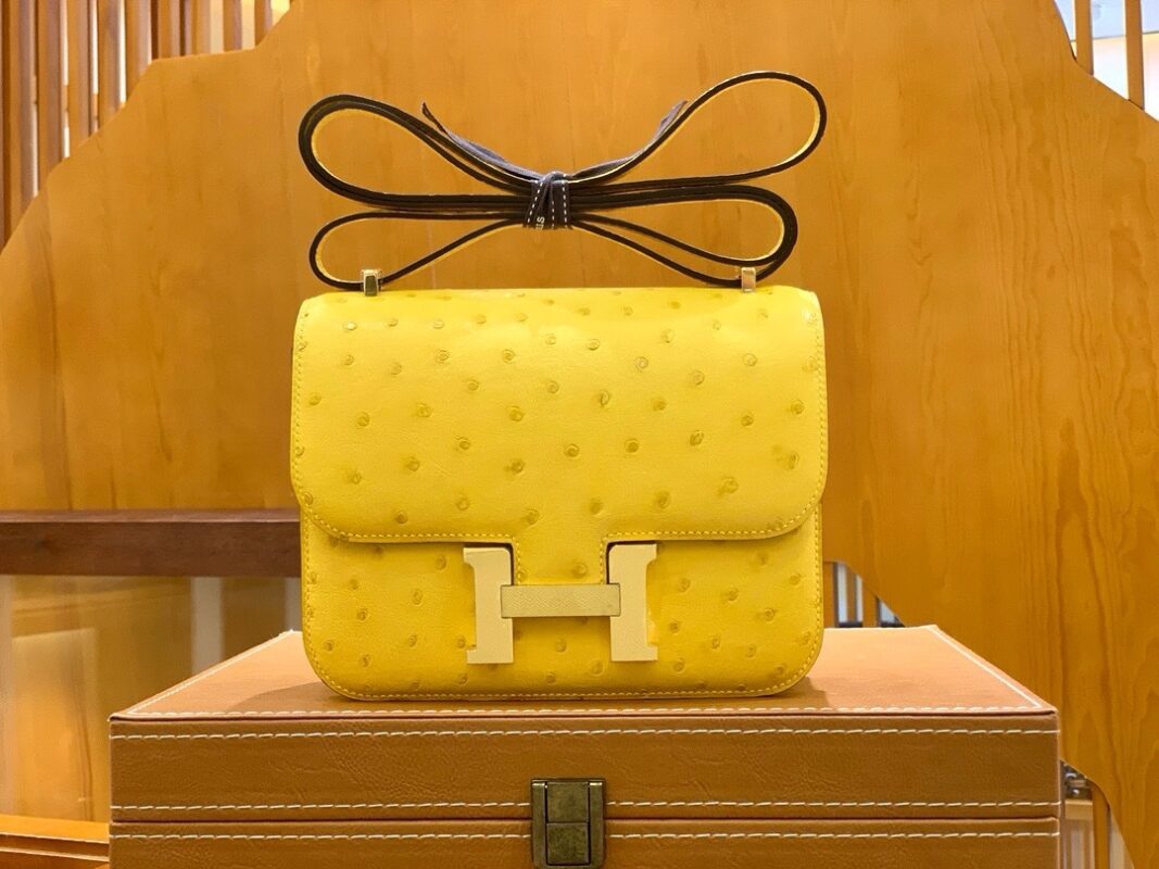 Constance 18 Ostrich