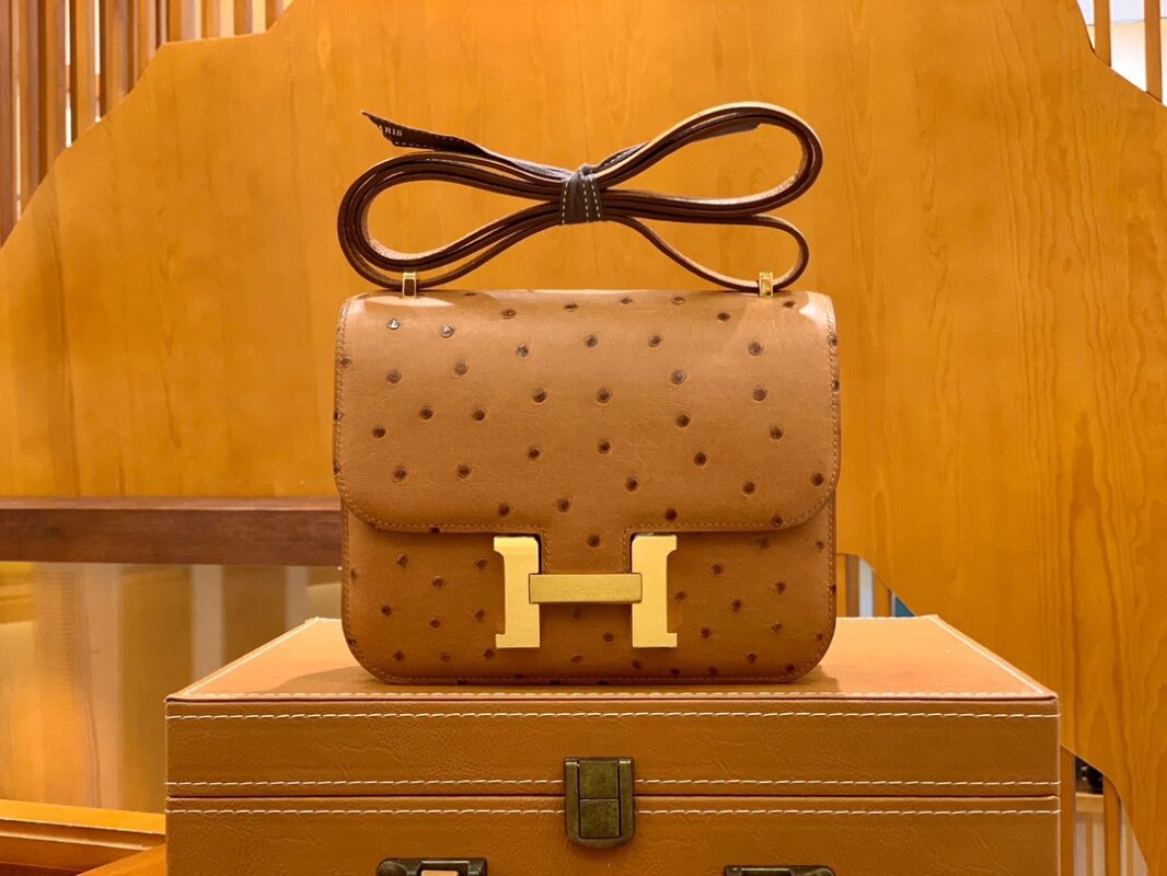 Constance 18 Ostrich