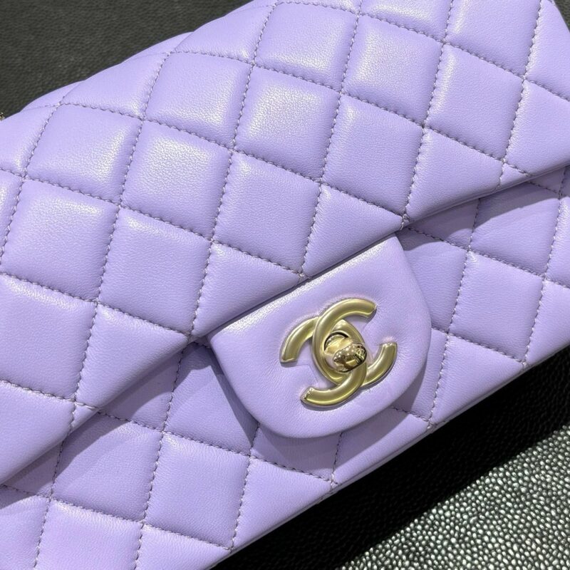 Chanel bag 2024