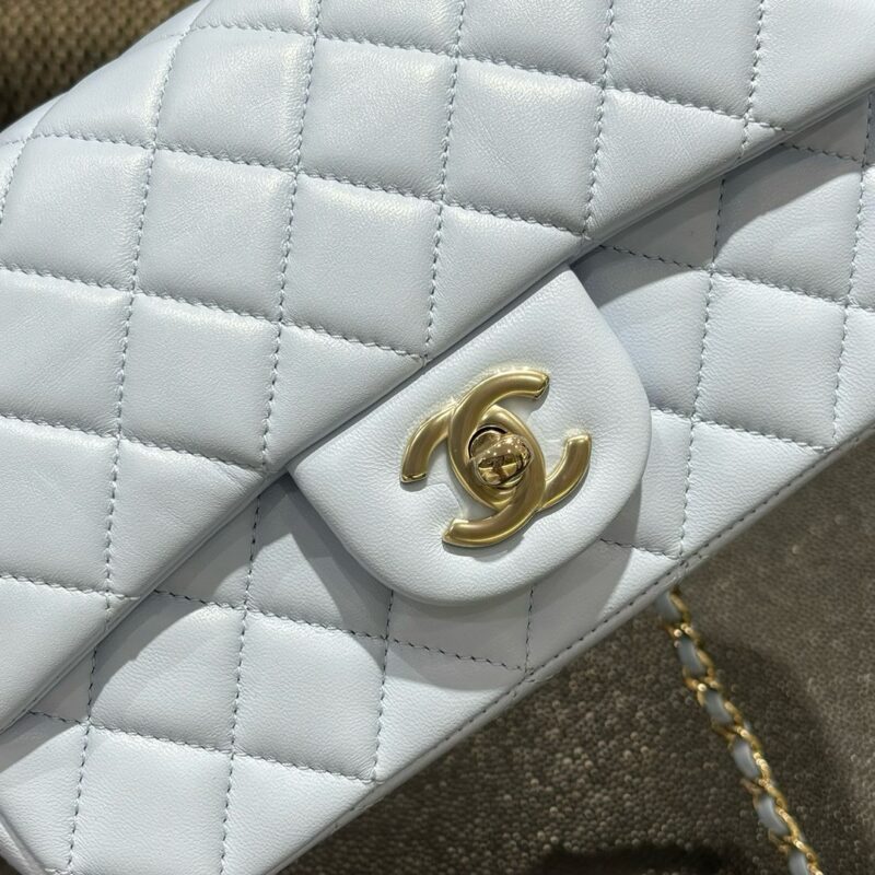 Chanel bag 2024