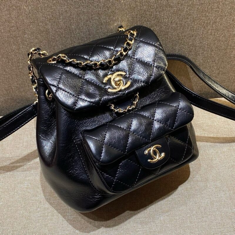 Chanel bag 2024