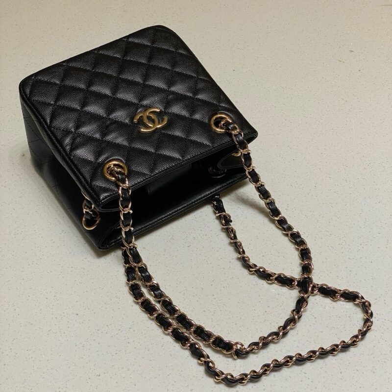 Chanel bag 2024