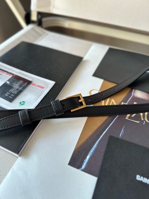 Ysl Saint Laurent bags 2024