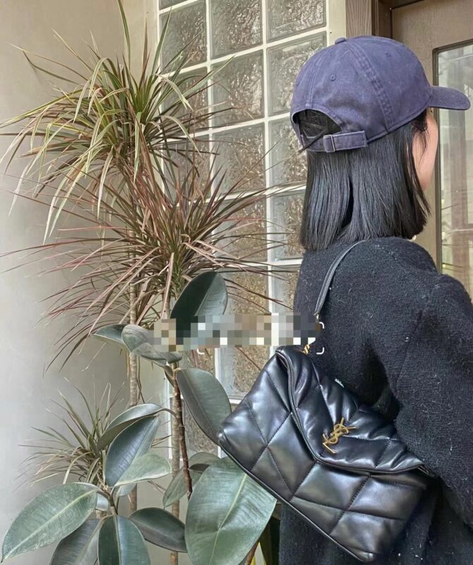 Ysl Saint Laurent bags 2024