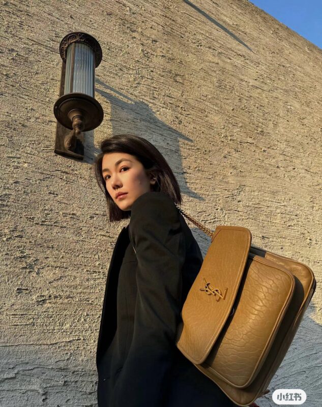 Ysl Saint Laurent bags 2024