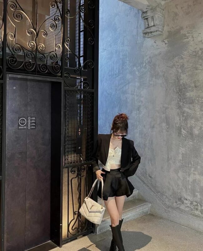 Ysl Saint Laurent bags 2024