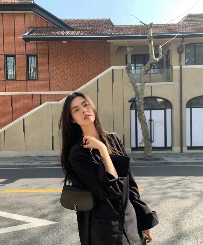 Ysl Saint Laurent bags 2024