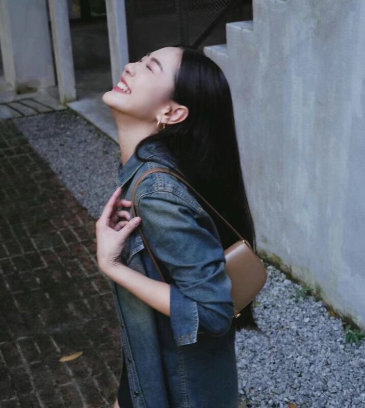 Ysl Saint Laurent bags 2024