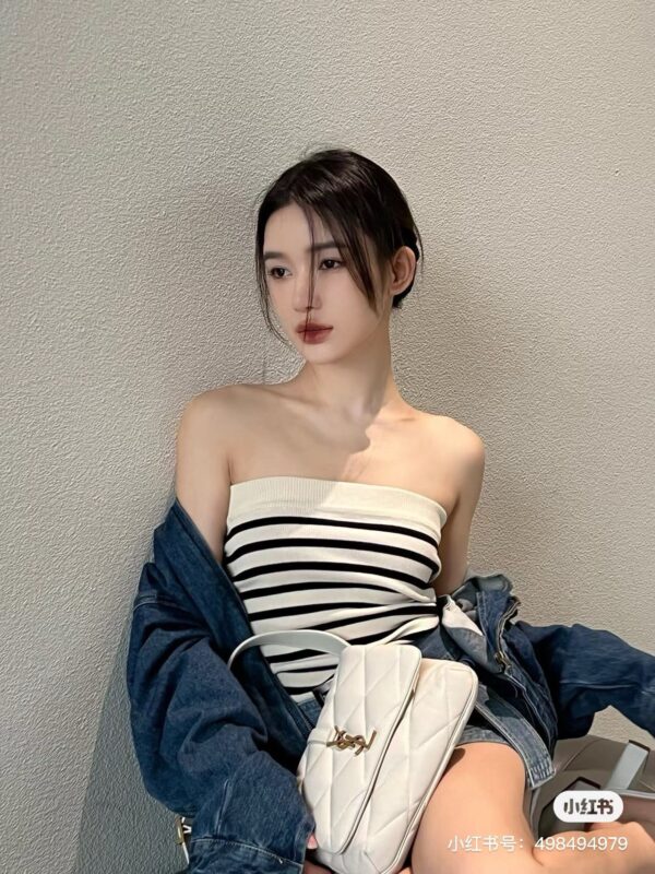 Ysl Saint Laurent bags 2024