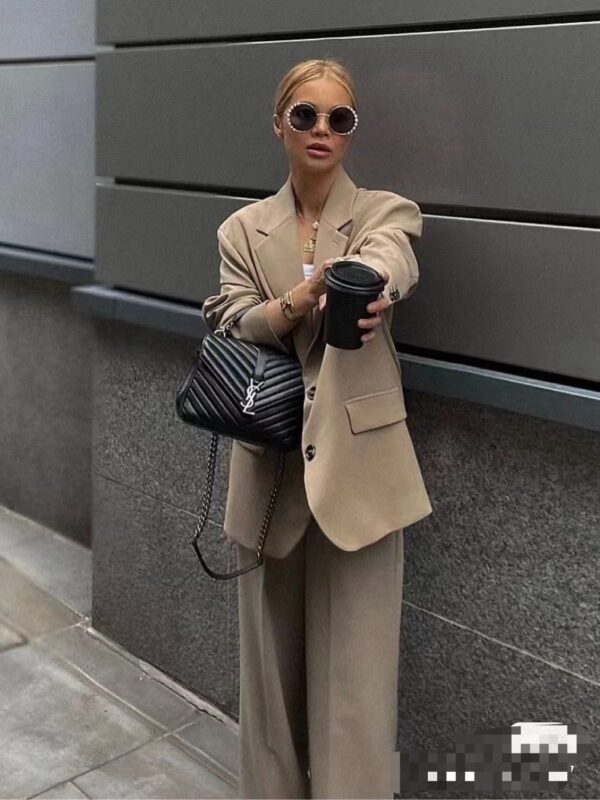 Ysl Saint Laurent bags 2024