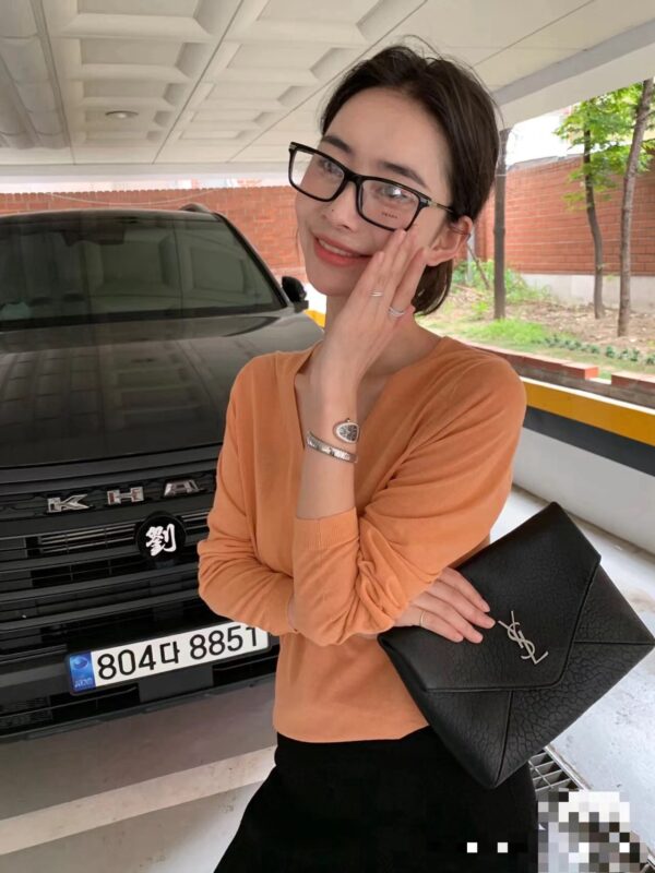 Ysl Saint Laurent bags 2024