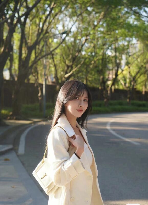 Ysl Saint Laurent bags 2024