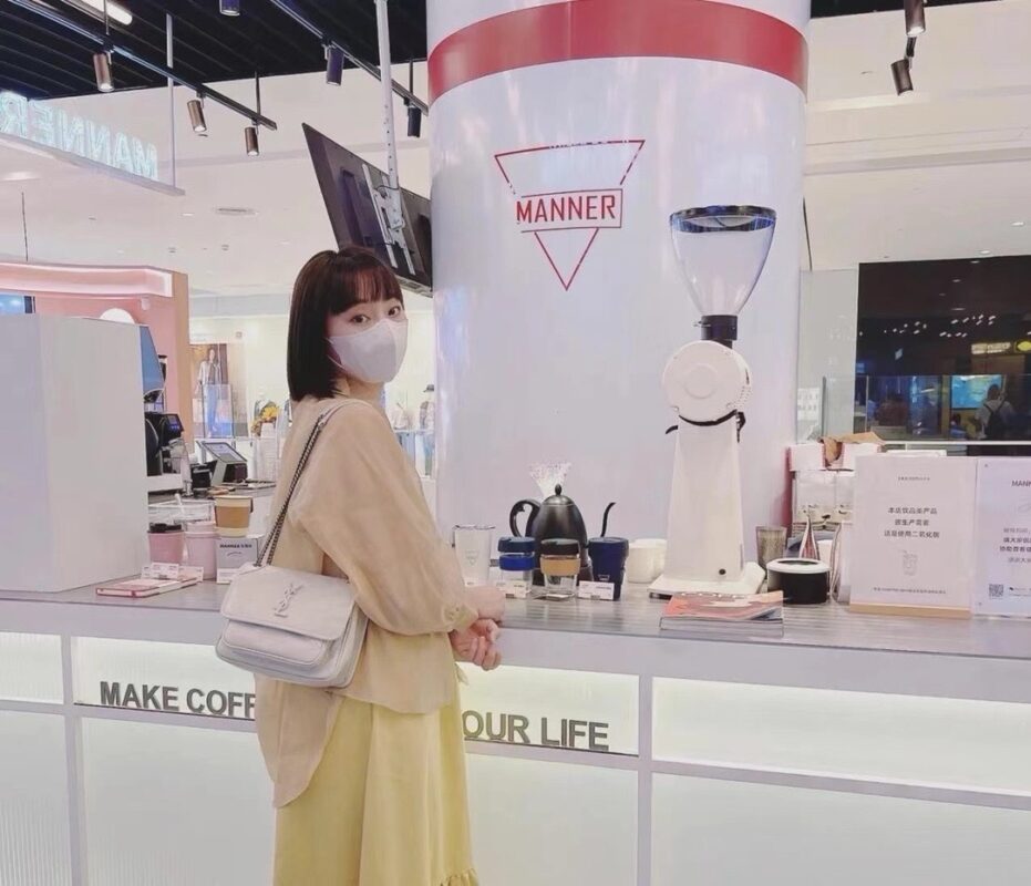 Ysl Saint Laurent bags 2024