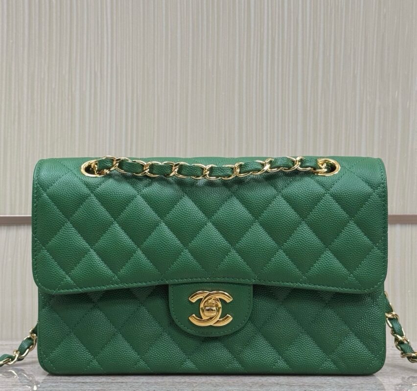 Chanel bags 2024