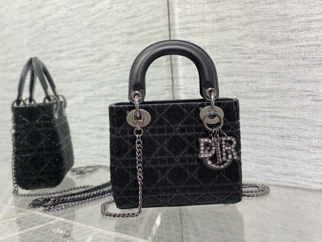 Dior bags 2024