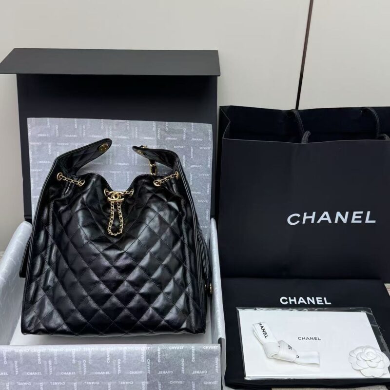 Chanel cruise  25c bag authentic quality replica 2025