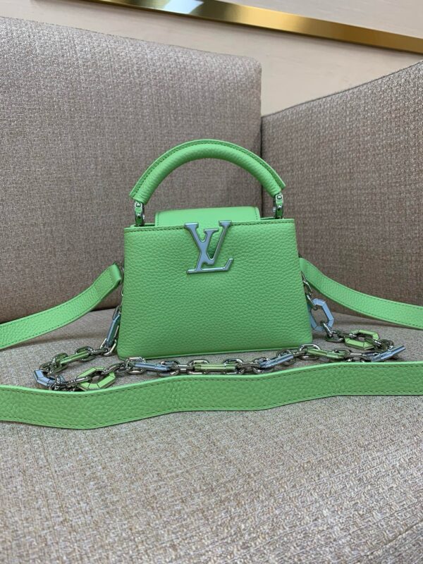 Lv capucines bags 100 pics
