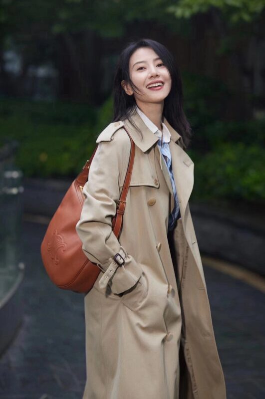 celine besace triumph  authentic quality bag 2025