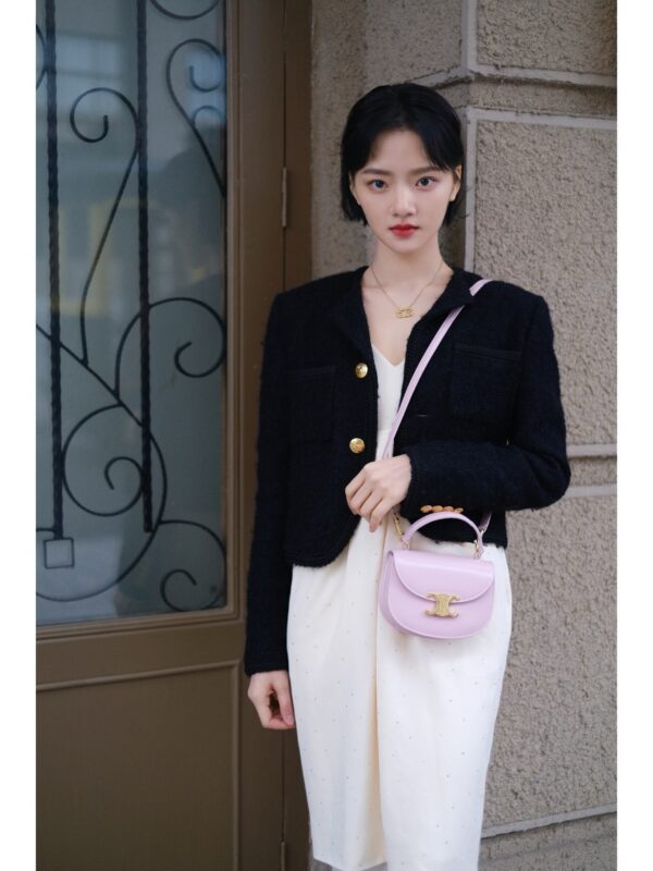 celine besace triumph  authentic quality bag 2025