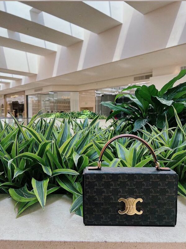 celine besace triumph  authentic quality bag 2025