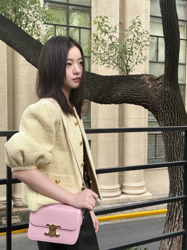 celine besace triumph  authentic quality bag 2025