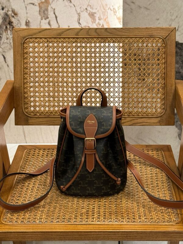 celine besace triumph  authentic quality bag 2025