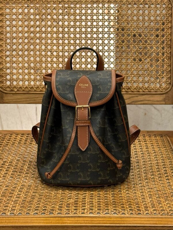 celine besace triumph  authentic quality bag 2025