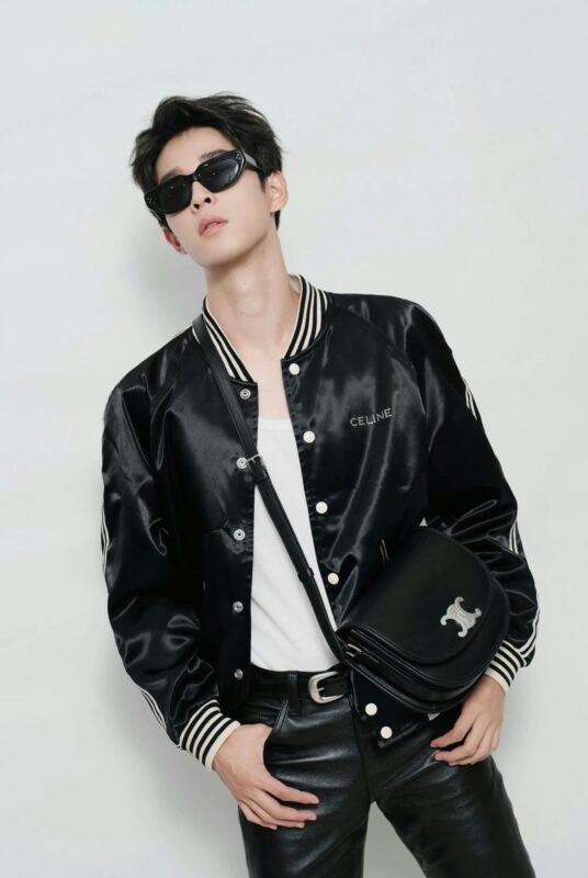 celine besace triumph  authentic quality bag 2025