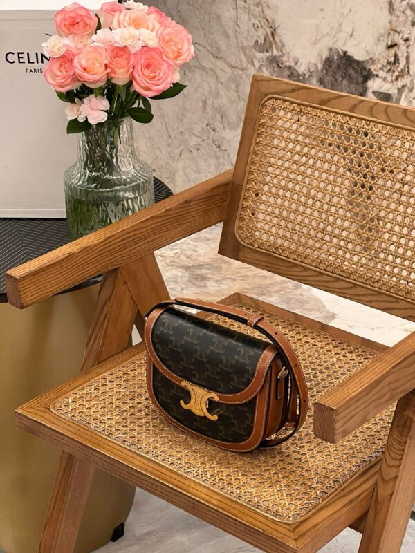 Celine Besace Clea Triomphe Canvas & Leather Shoulder Bag 2025