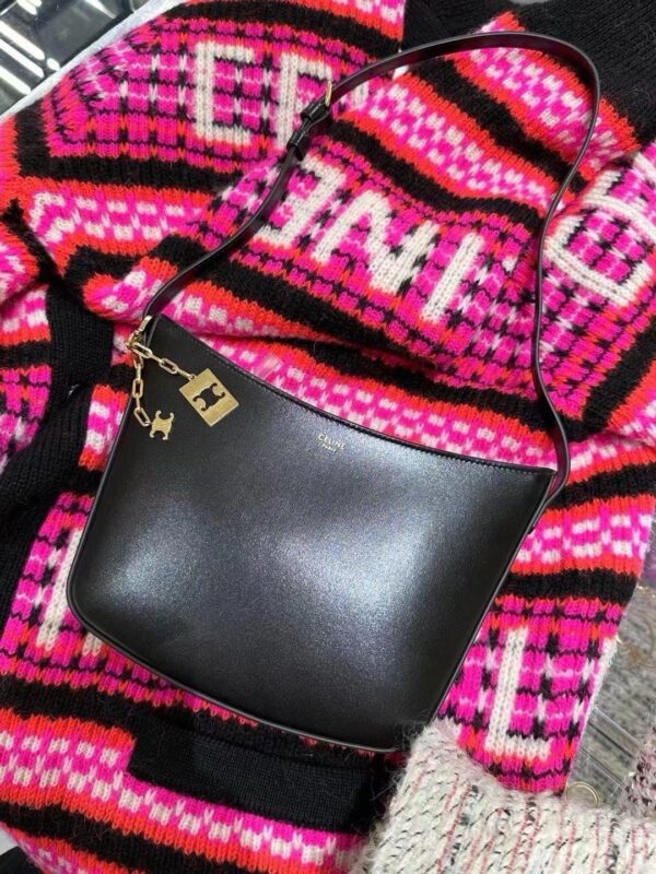 Celine Croque Bag 2025