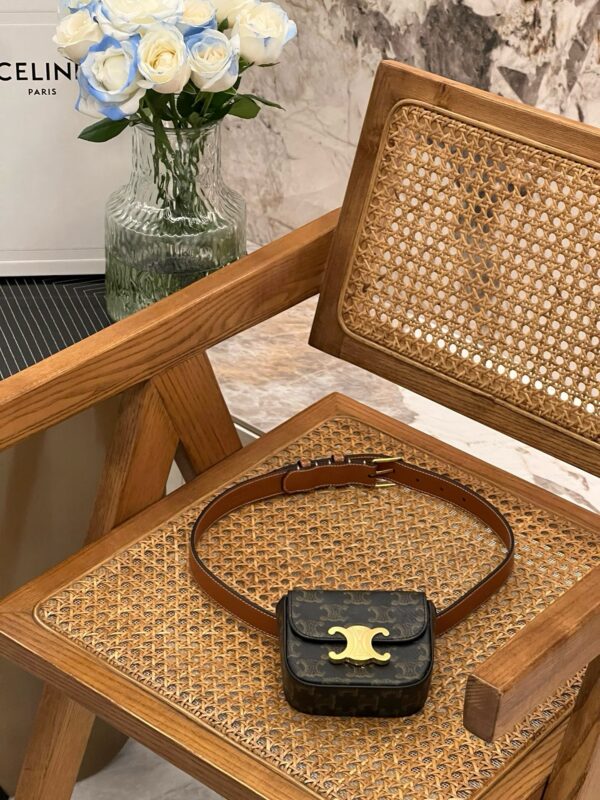 Celine Mini Triomphe