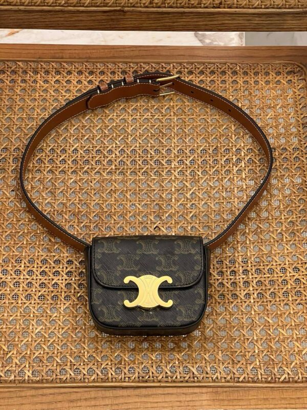 Celine Mini Triomphe