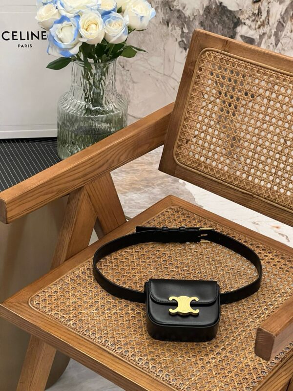 Celine Mini Triomphe