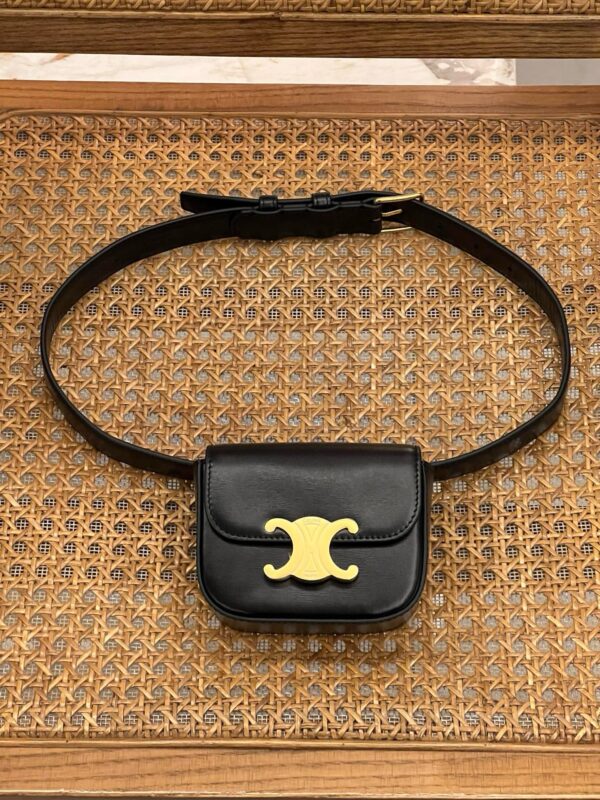 Celine Mini Triomphe