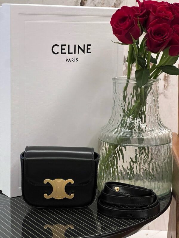 Triomphe Canvas Mini