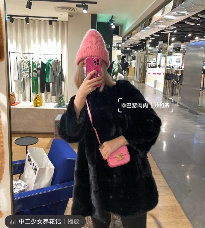 Celine Mini Triomphe