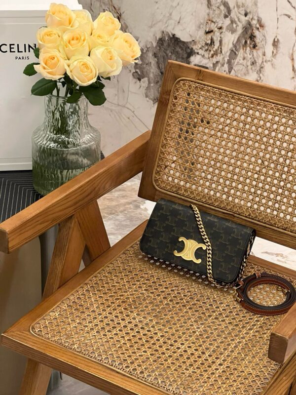 Celine Multi Pochette Triomphe