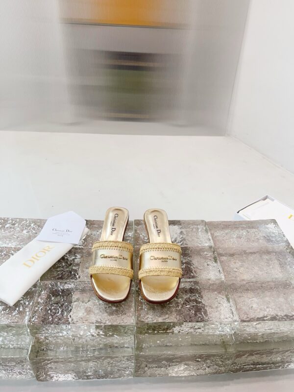 Christian Dior authentic quality shoes 2025