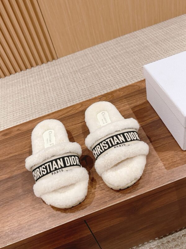 Christian Dior authentic quality shoes 2025