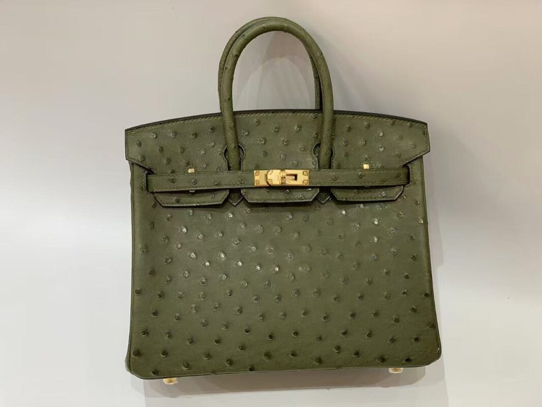 hermes birkin 25 ostrich leather olive 🫒 color gold hardware authentic quality